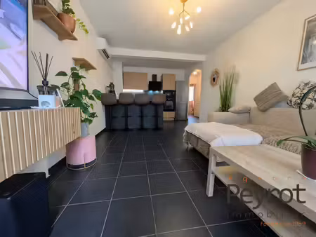 2 pieces meublé avec jardin sur peyrestortes