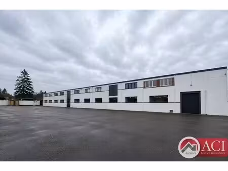 local commercial