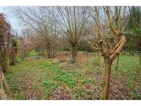 terrain à bâtir à vendre à alsemberg