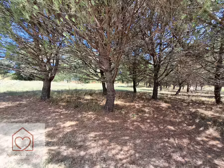 terrain de loisir avec eau électricité