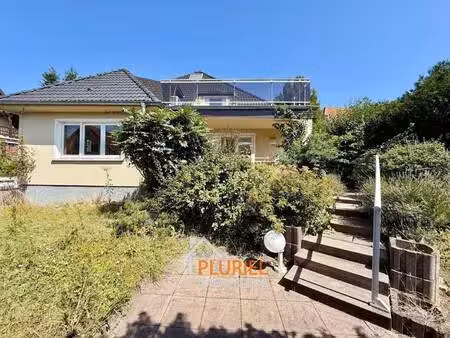 pluriel immobilier