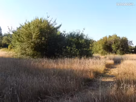 achète parcelle agricole abandonnée