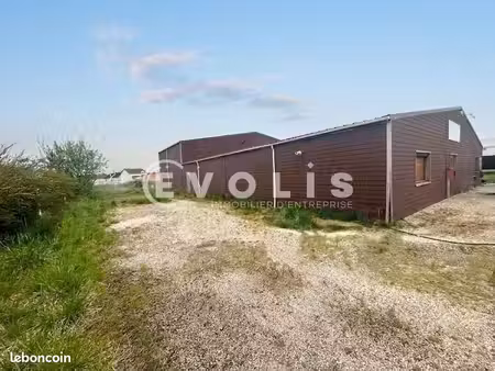 local d'activité 600 m²