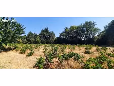 terrain à bâtir de 591 m² à sainte-cecile-les-vignes (84)