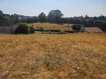 terrain 1 393 m² chateauneuf la foret