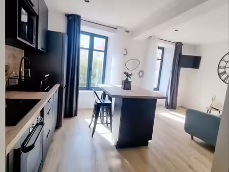appartement meublé t1 bis rénové
