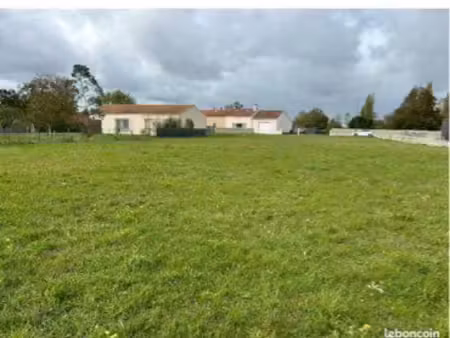 terrain constructible