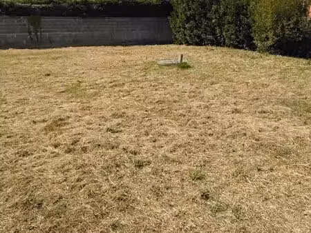terrain de 687m²