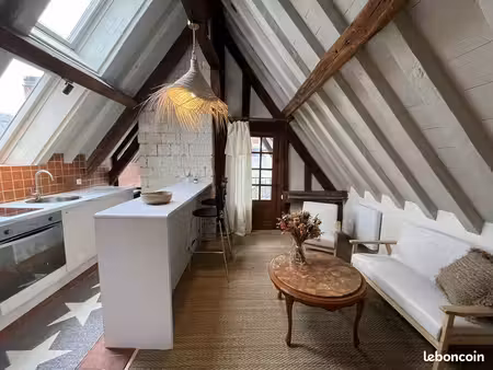 appartement 1 pièce 44 m²