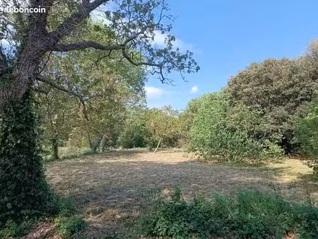 terrain constructible