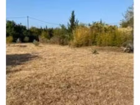 terrain à vendre