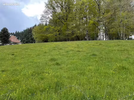 terrain à bâtir de 1774 m² à lafeuillade-en-vezie (15)