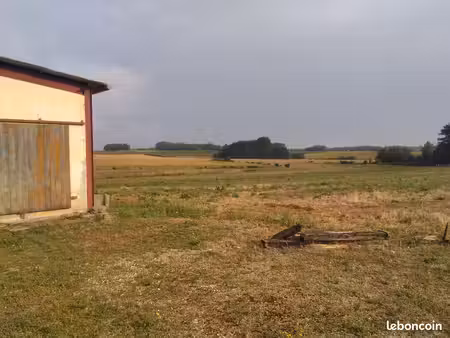 hangar avec prairie