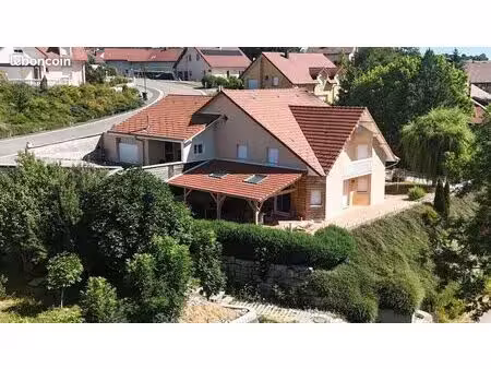 maison 8 pièces 290m2