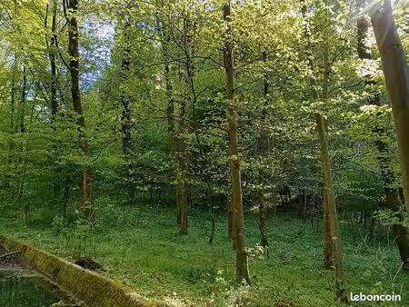 a vendre parcelle forestière aizier