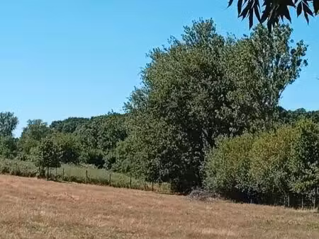 terrain avec cu de 4468m2