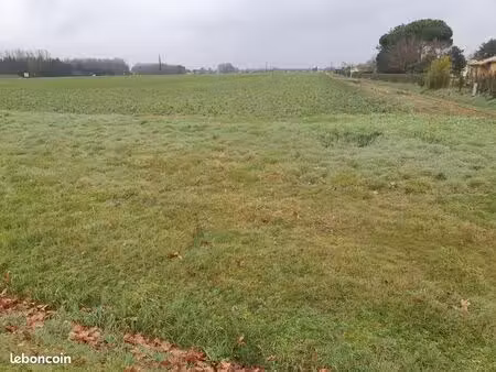 terrain 250 m² le pout