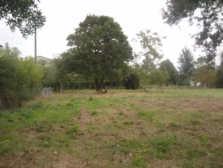 vente terrain à batir 1398 m² à béguey (33410)  107 000 €