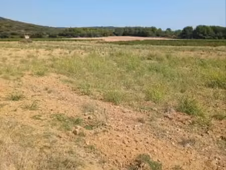 terrain agricole