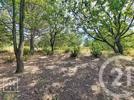 terrain à vendre - 5055 m2 - toulouges - 66 - languedoc-roussillon