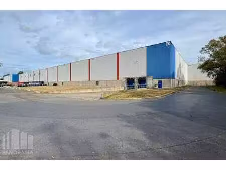entrepôt logistique à louer à willebroek