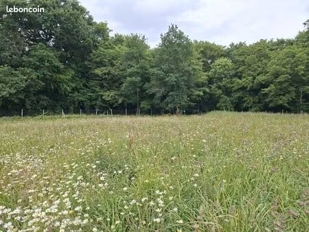 terrain 1 000 m² bouliac