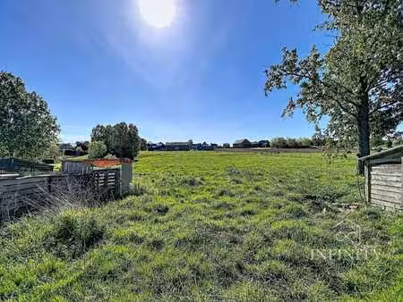 terrain à remicourt 12 000 m² (hodeige) – cadre verdoyant &