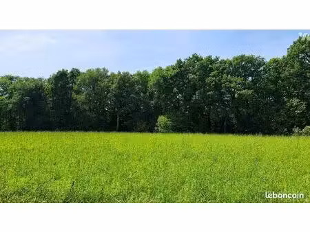 terrain 4919 m² plumeliau