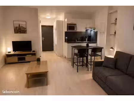 studio chaleureux annemasse