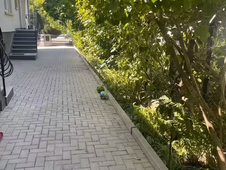 location maison mitoyenne