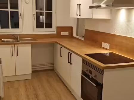 appartement t3 refait à neuf – 63m2 - centre-ville