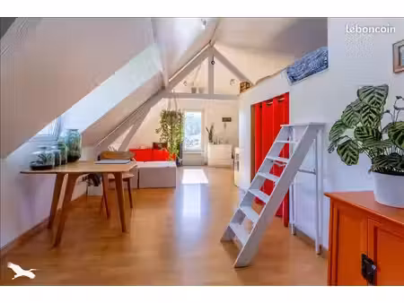 appartement 1 pièce 33 m²
