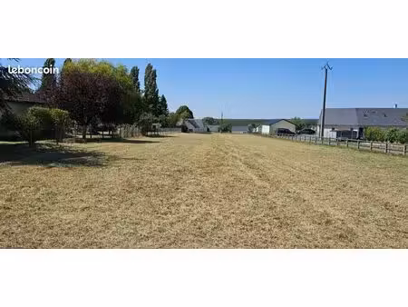 terrain contructible