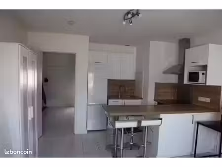 appartement tours centre