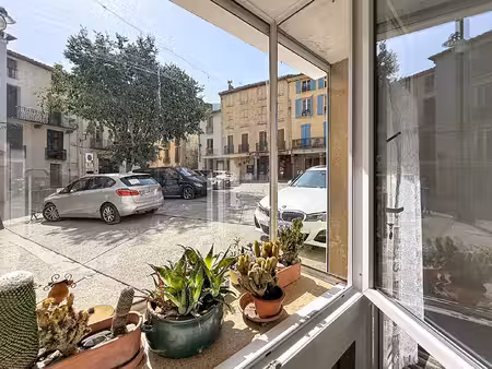 immeuble en copropriété / arles sur tech