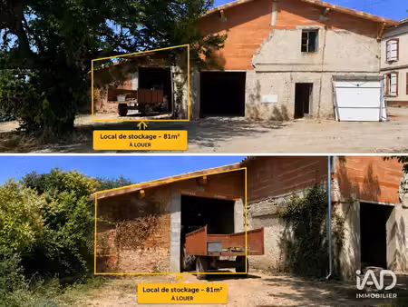 local d’activité à fronton (31620)