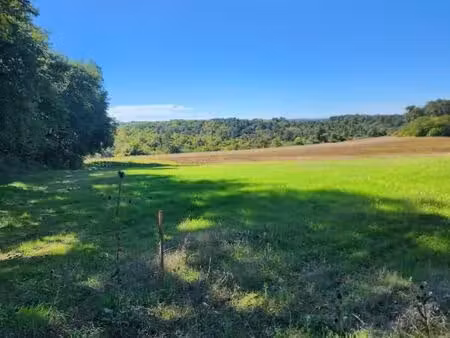 terrain 1 000 m² la chapelle gonaguet
