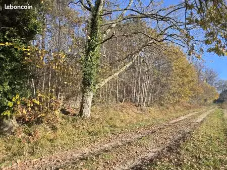 terrain 14 460 m² villamblard