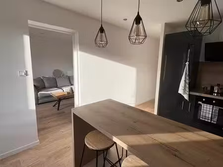 appartement t2 plein centre