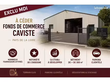 caviste  fonds de commerce 300 m² mayenne