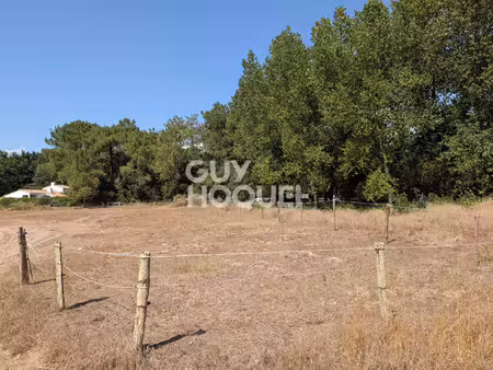 terrain saint hilaire de riez 1000 m2