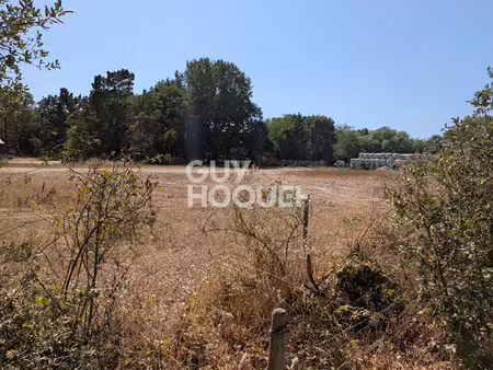 terrain saint hilaire de riez 1271 m2