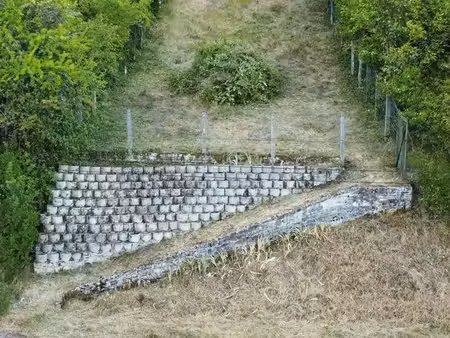 terrain en nature de verger