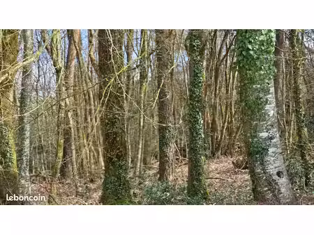 terrain non constructible avec bois sur pied