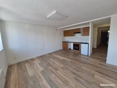 appartement 1 pièce 43 m²