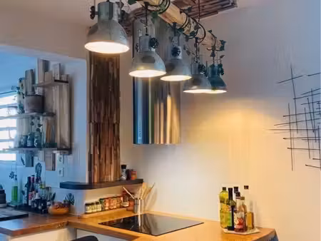 ? charmant t2 meublé avec jardin & varangue – 84 m² (44 m² hab. + 40 m² extérieurs) – lign