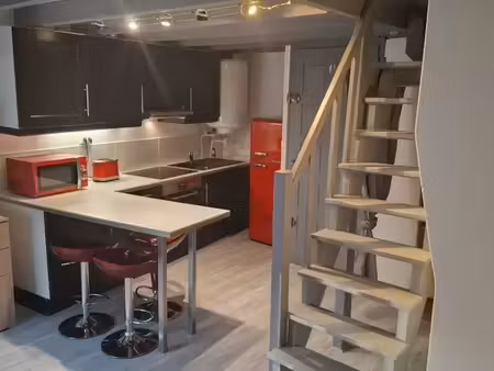 appartement 1 piéce en duplex