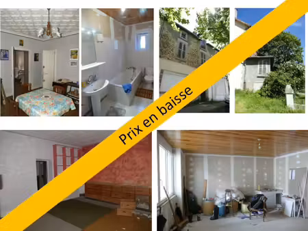 maison à rénover avec local commercial et logement indépendants (maurs  15)