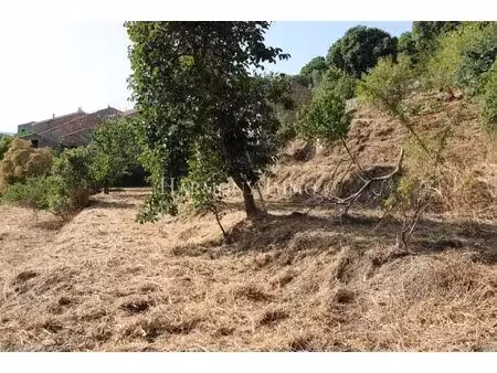 pila-canale — rare : grand terrain en restanques de 2 154 m2avec bâtisse traditionnelle en