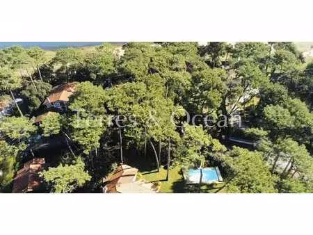 maison avec piscine et jardin hossegor (40)